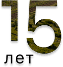 15 лет