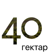 40 гектар