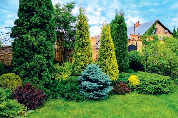 Придомовый ландшафтный дизайн.