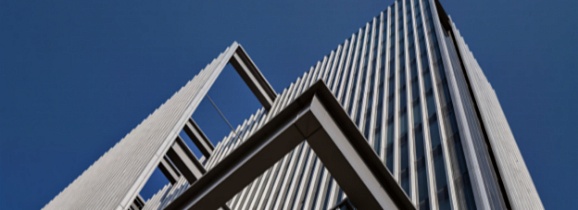 Как озеленение становится стратегическим активом девелопера в 2024-2025 гг