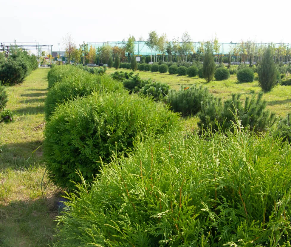 Мы производим