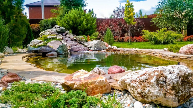 Декоративный пруд в саду.