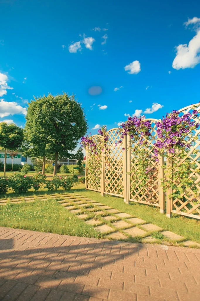 Выбор растений, выполняющих не только эстетические, но и защитные функции, оптимален при планировании проектов озеленения.