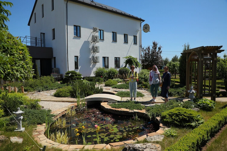 Кувшинки в пруду.