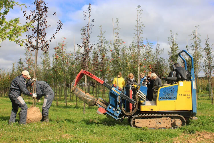 Питомник ПДК Южный.