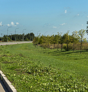 Путепровод на ул. Гагарина, г. Домодедово