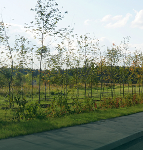 Автодорога Варшавское шоссе – деревня Андреевское – деревня Яковлево