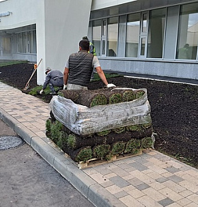 Укладка рулонного газона для ГБУ конноспортивного комплекса «Битца»