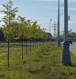 Строительство автомобильной дороги Воскресенское – Каракашево – Щербинка (1-3 этапы)