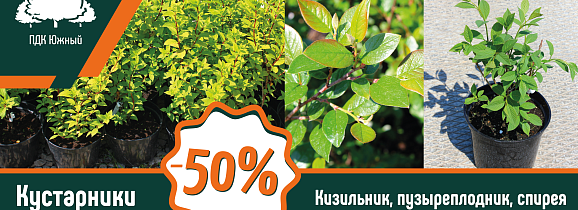Акция в ПДК «Южный»: скидка 50 % на ассортимент кустарников.