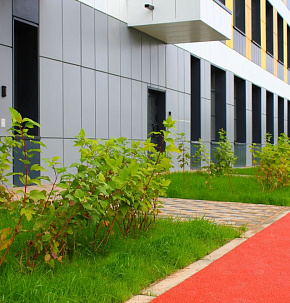 Озеленение в городе Чехов: объект гимназия