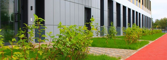 Озеленение в городе Чехов: объект гимназия