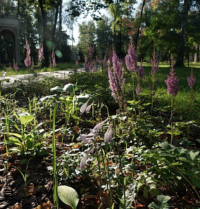 Благоустройство в Парке им. Островского города Ступино Московской области.