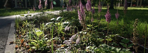 Благоустройство в Парке им. Островского города Ступино Московской области.