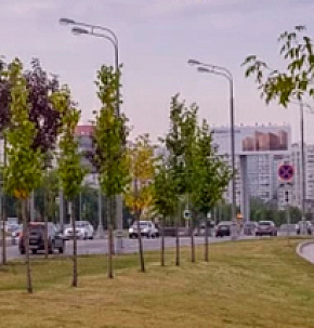 Озеленение Варшавское шоссе, Москва