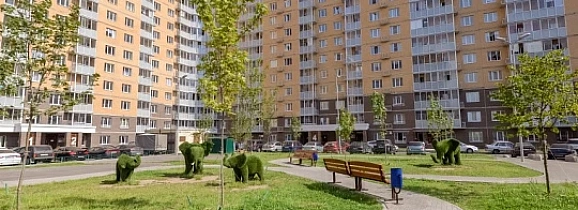 Озеленение дворов в г. Люберцы